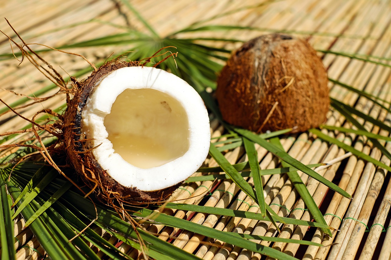 Coconut Sugar Industry Actors Reject Refined Brown Sugar RNSI